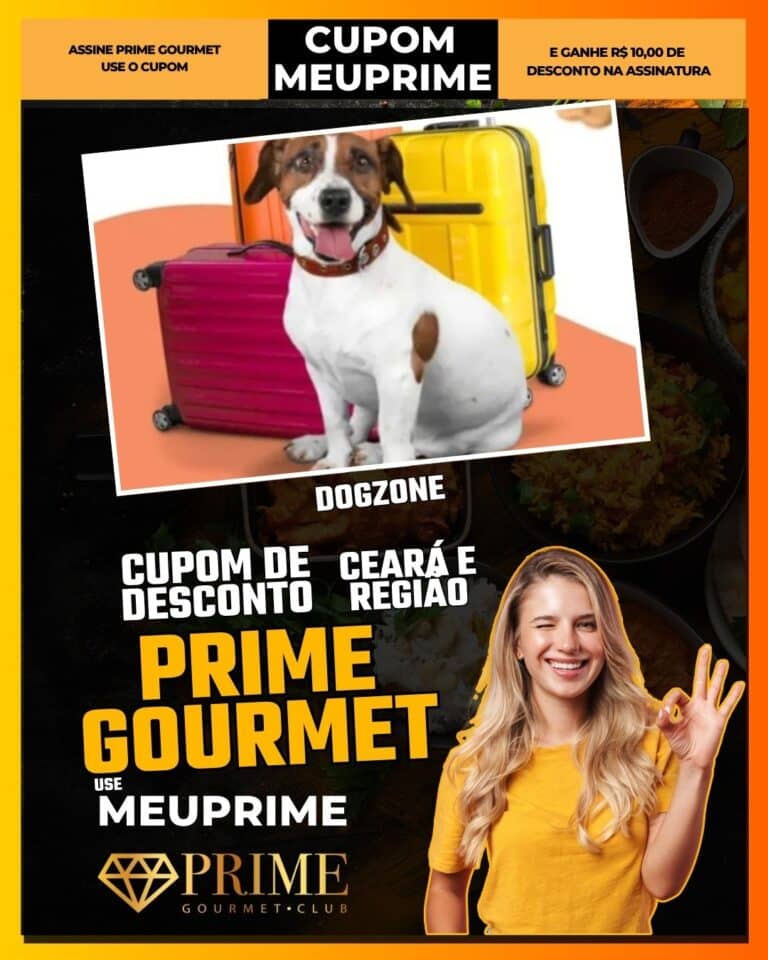 Dog Zone Aldeota,Prime Gourmet Fortaleza,pet-friendly Fortaleza,lazer com pet,desconto Prime Gourmet,cupom MEUPRIME,atividades pet Ceará,economia em serviços,Fortaleza,Prime Gourmet,Aldeota,bem-estar animal