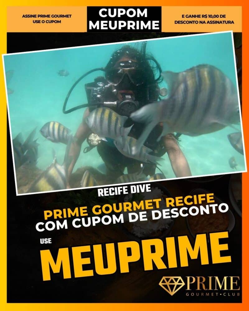 prime gourmet recife cupom meuprime recife dive