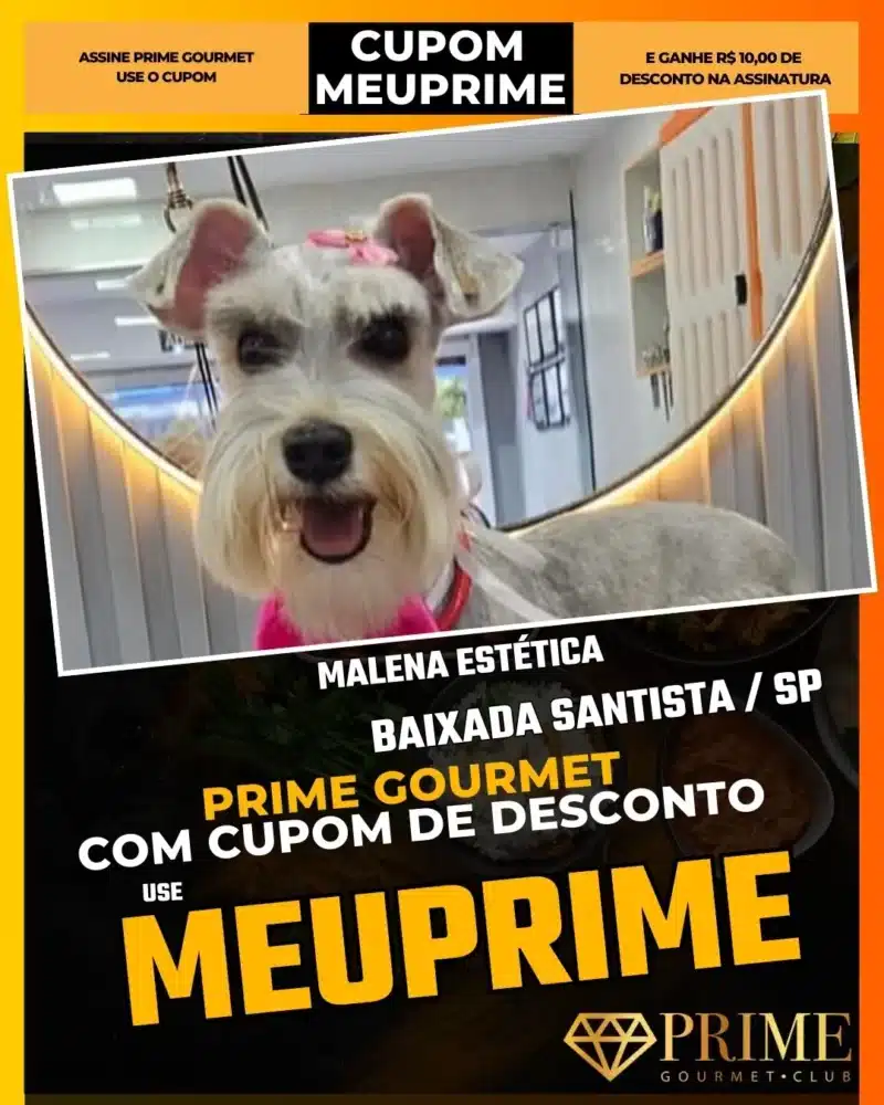 prime gourmet baixada santista sp cupom meuprime malena estética