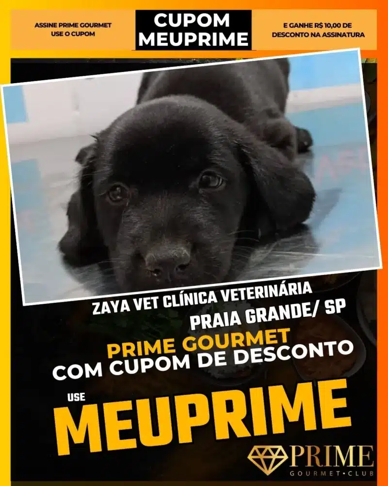 prime gourmet praia grande sp cupom meuprime zaya vet clínica veterinária