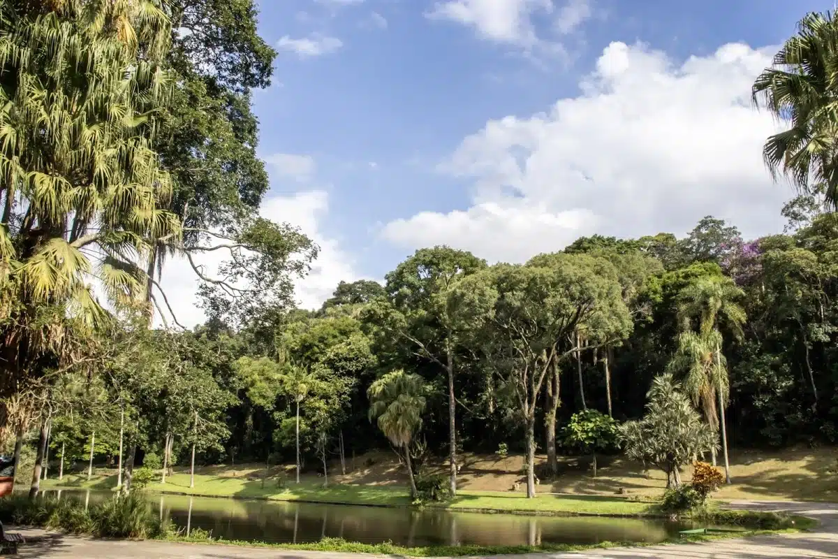 Foto real de Jardim Botânico de São Paulo