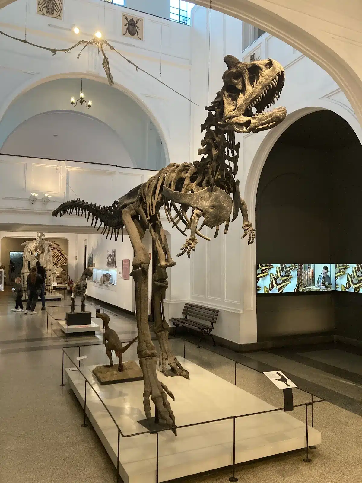 Foto real de Museu de Zoologia