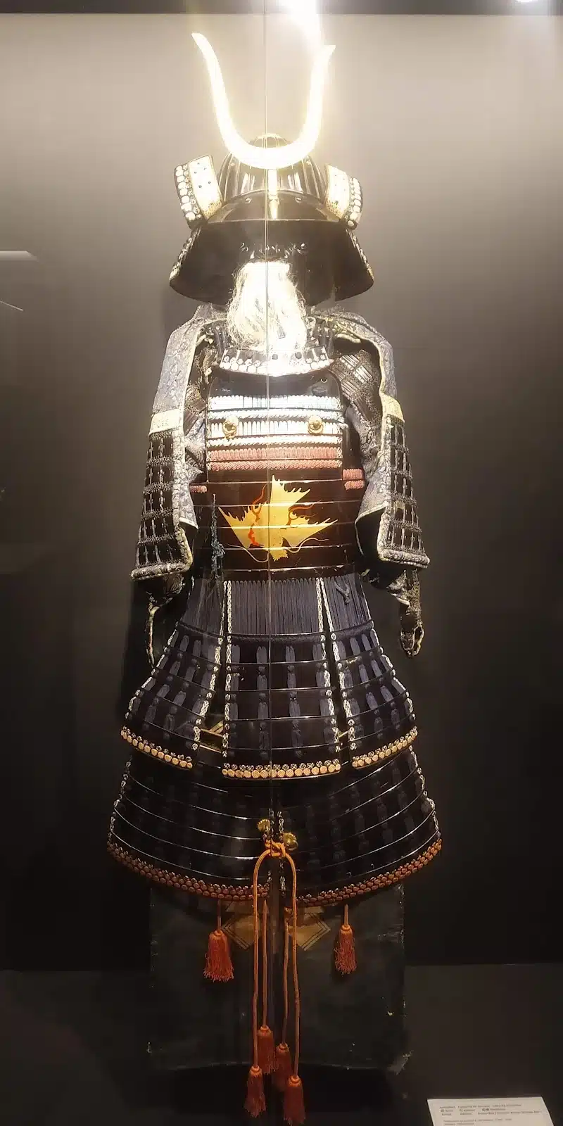 Foto real de Museu Histórico da Imigração Japonesa