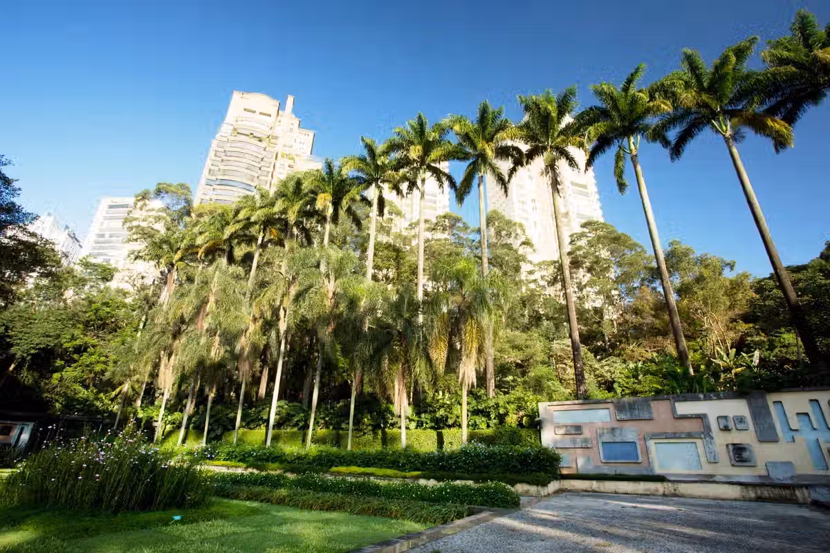 Foto real de Parque Burle Marx
