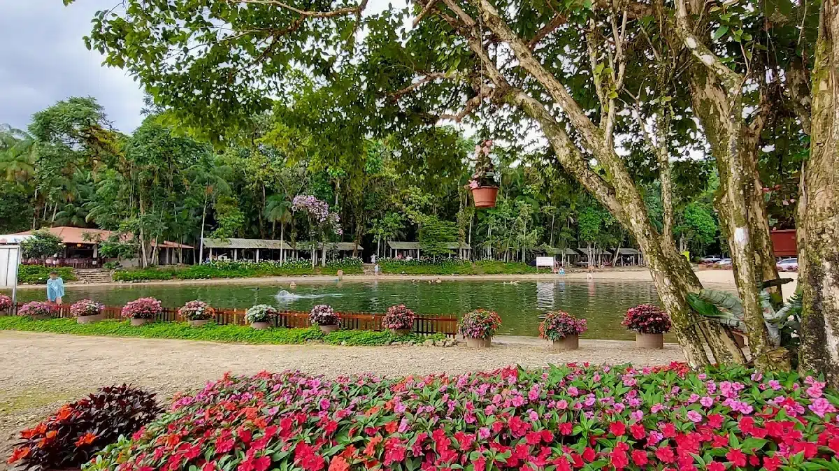 Foto real de Caminho das Águas no Piraí