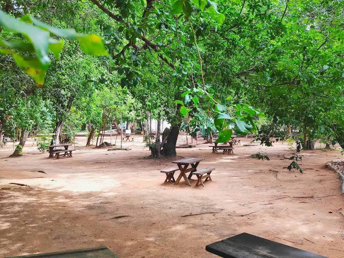 Foto real de Parque das Dunas