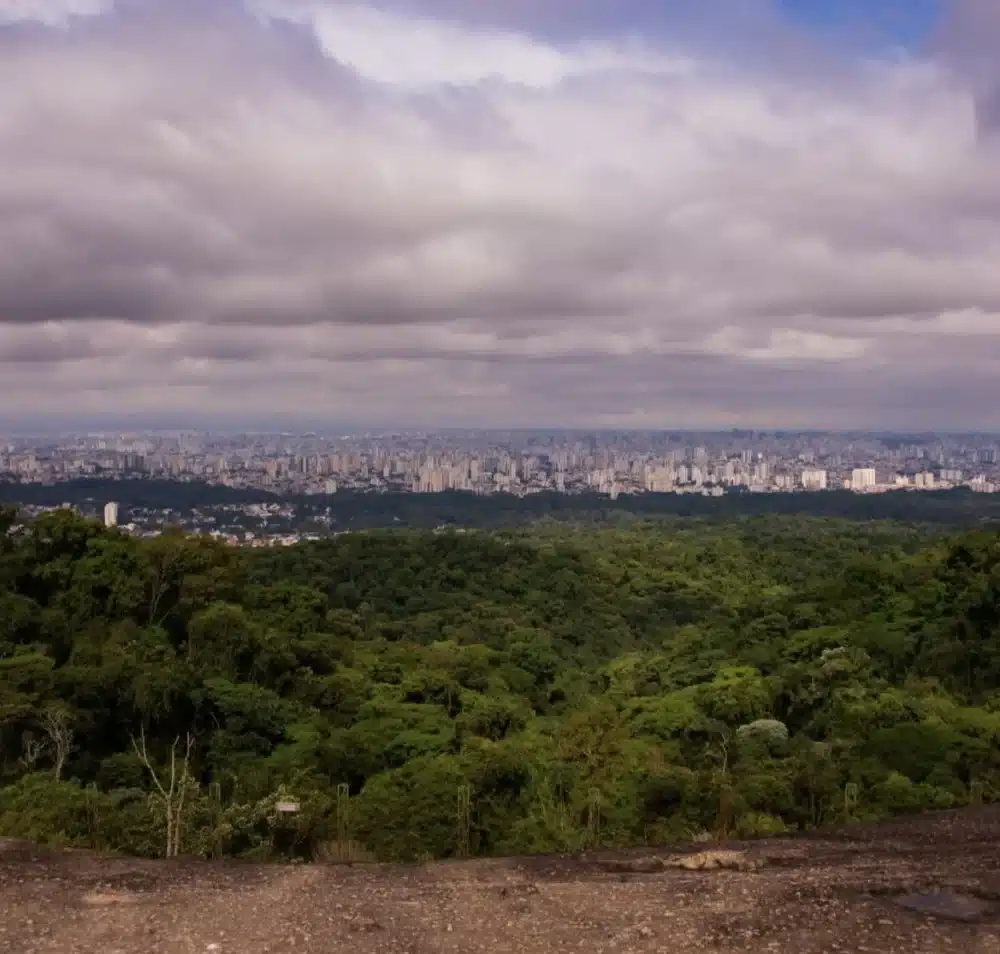 Foto real de Parque Estadual da Cantareira