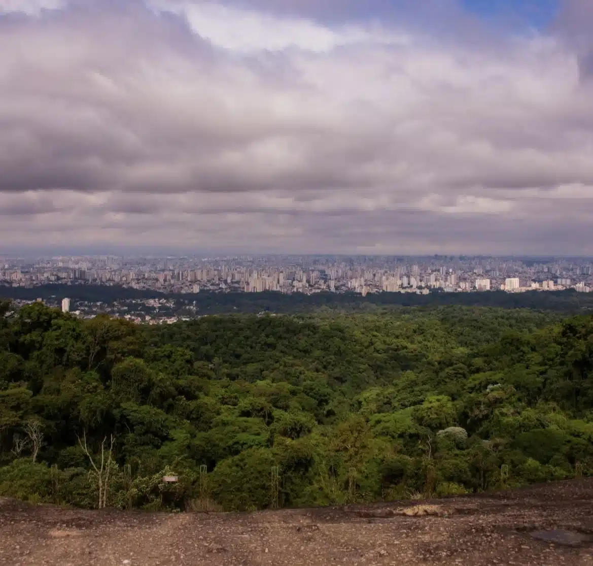 Foto real de Parque Estadual da Cantareira