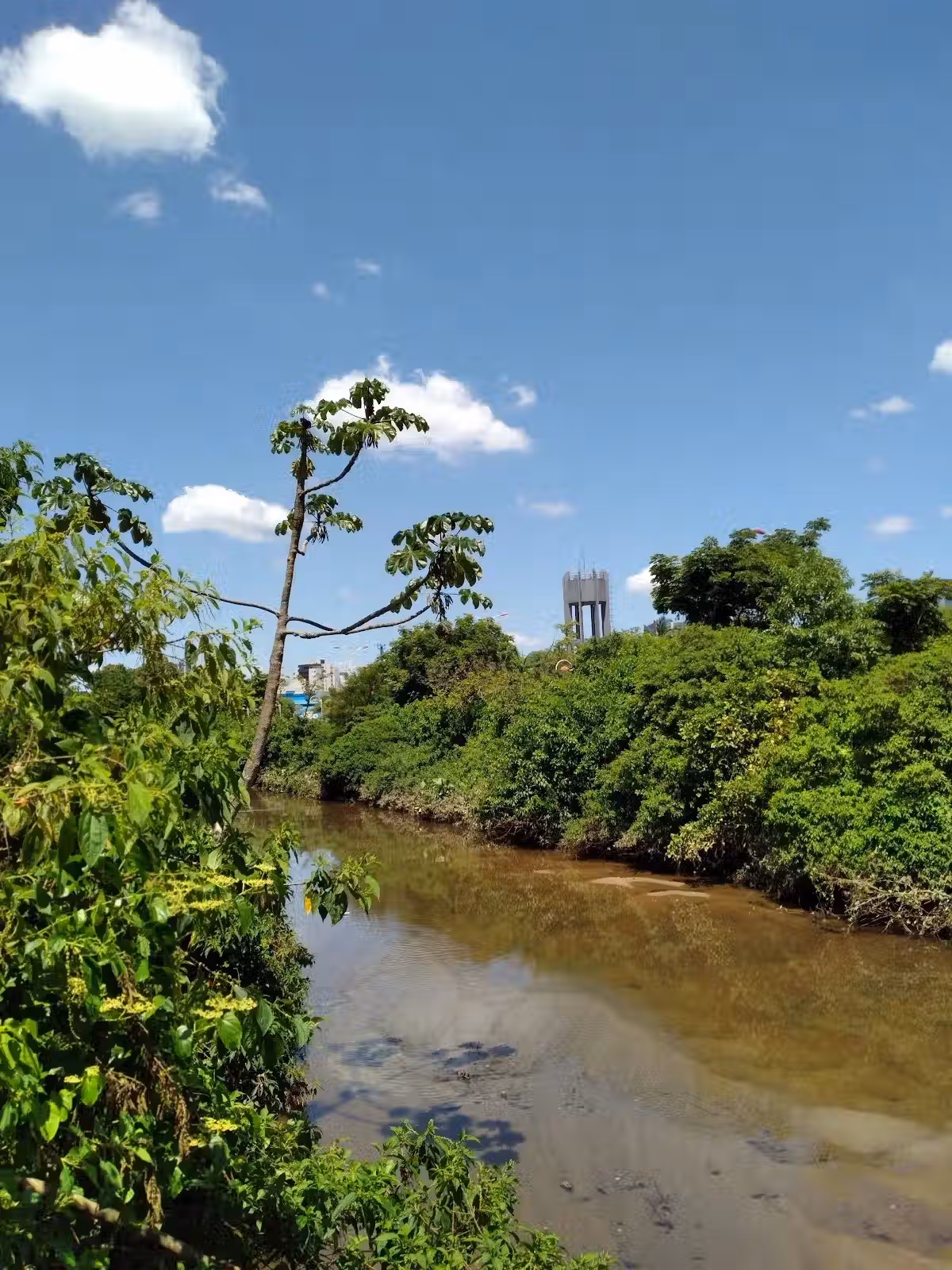 Foto real de Parque Linear do Rio Cachoeira