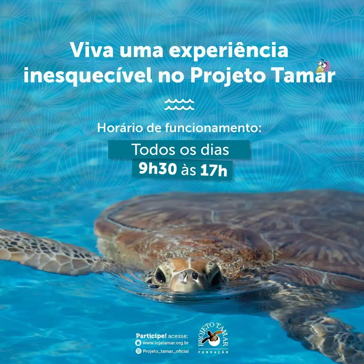 Foto real de Projeto Tamar