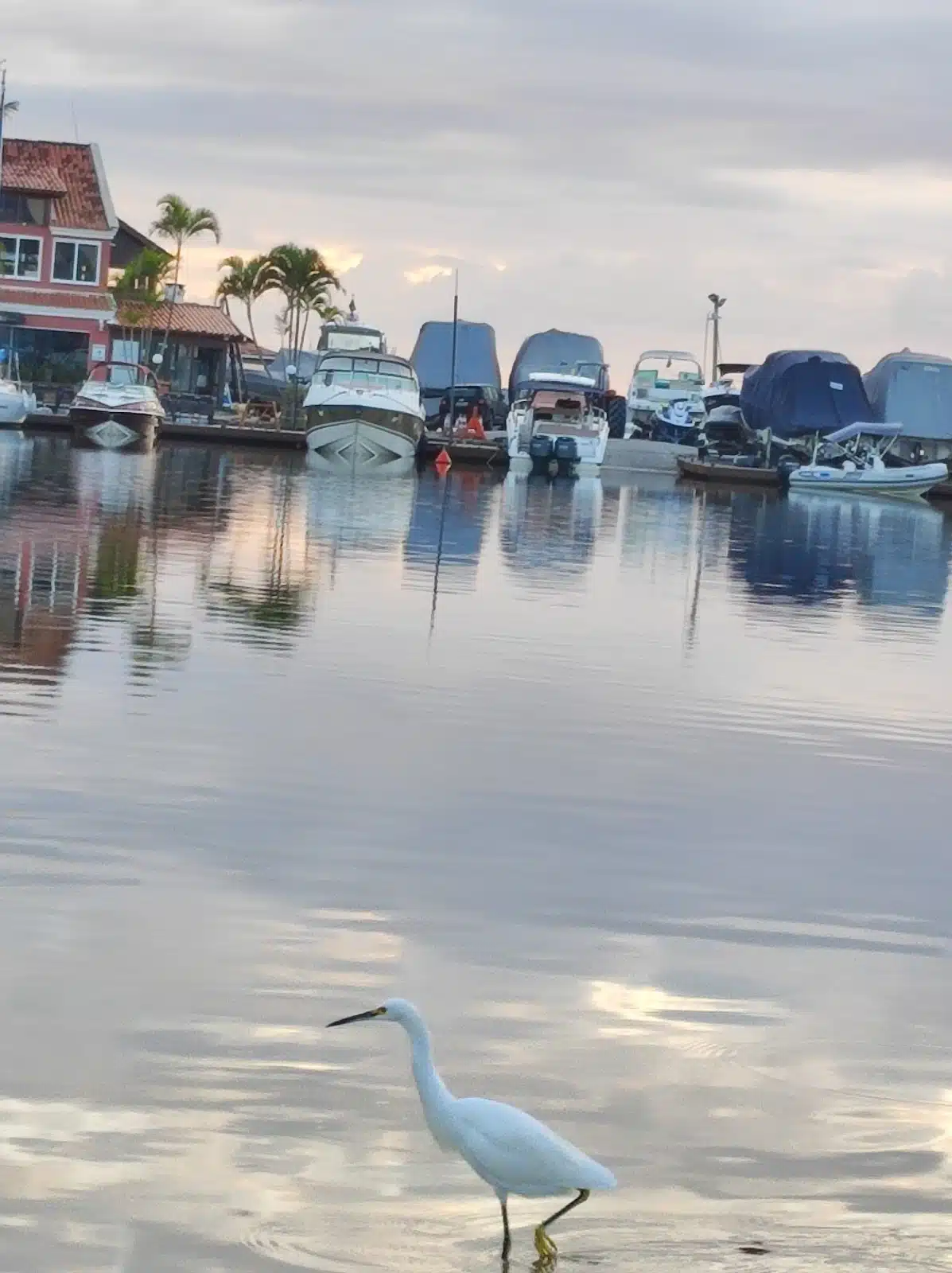 Foto real de Lagoa da Conceição