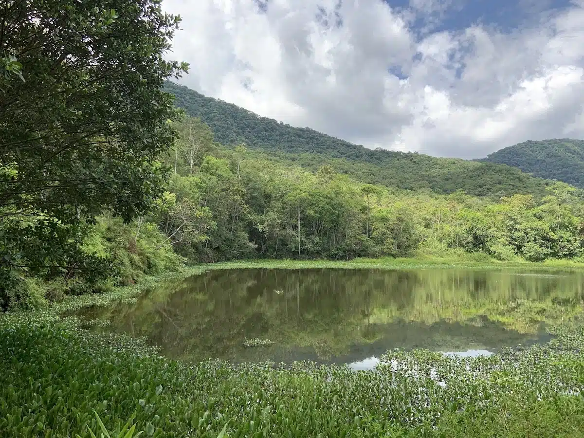 Foto real de Parque das Nascentes