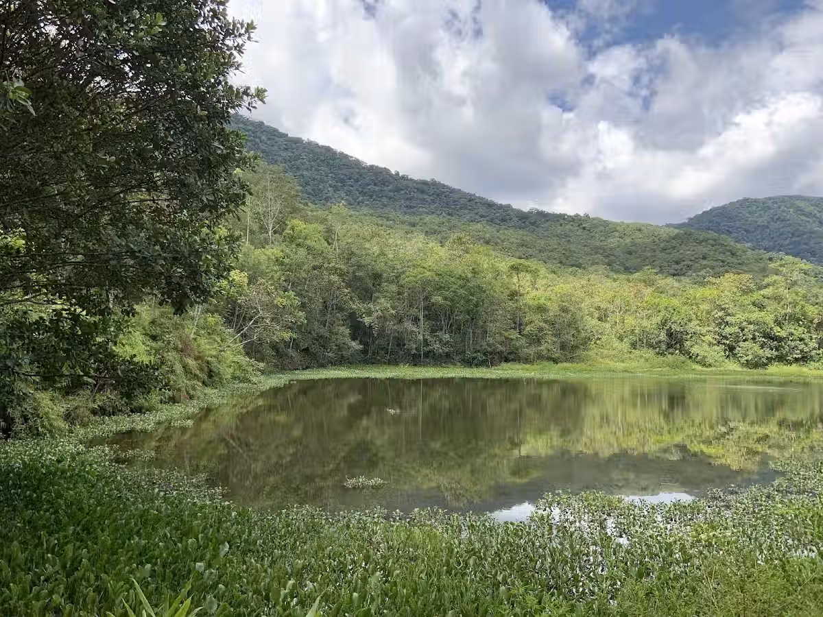 Foto real de Parque das Nascentes