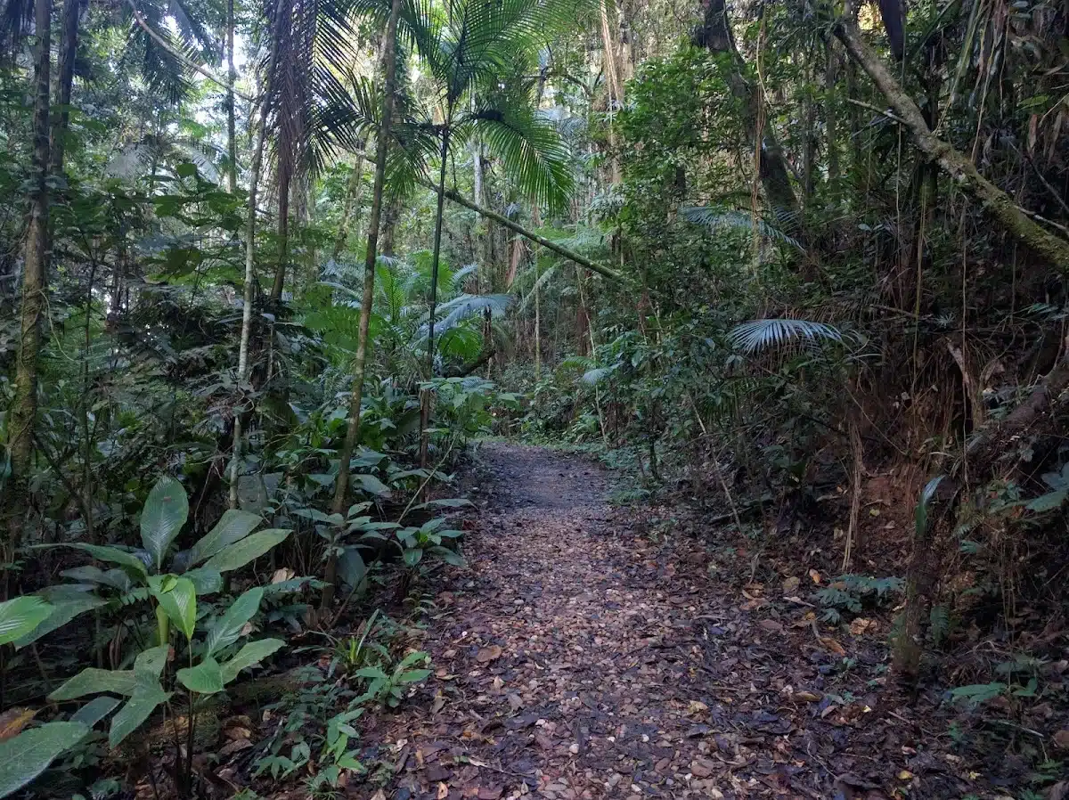 Foto real de Parque Natural Municipal São Francisco de Assis