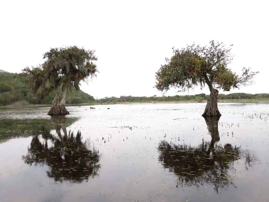 Foto real de Lagoa do Sombrio