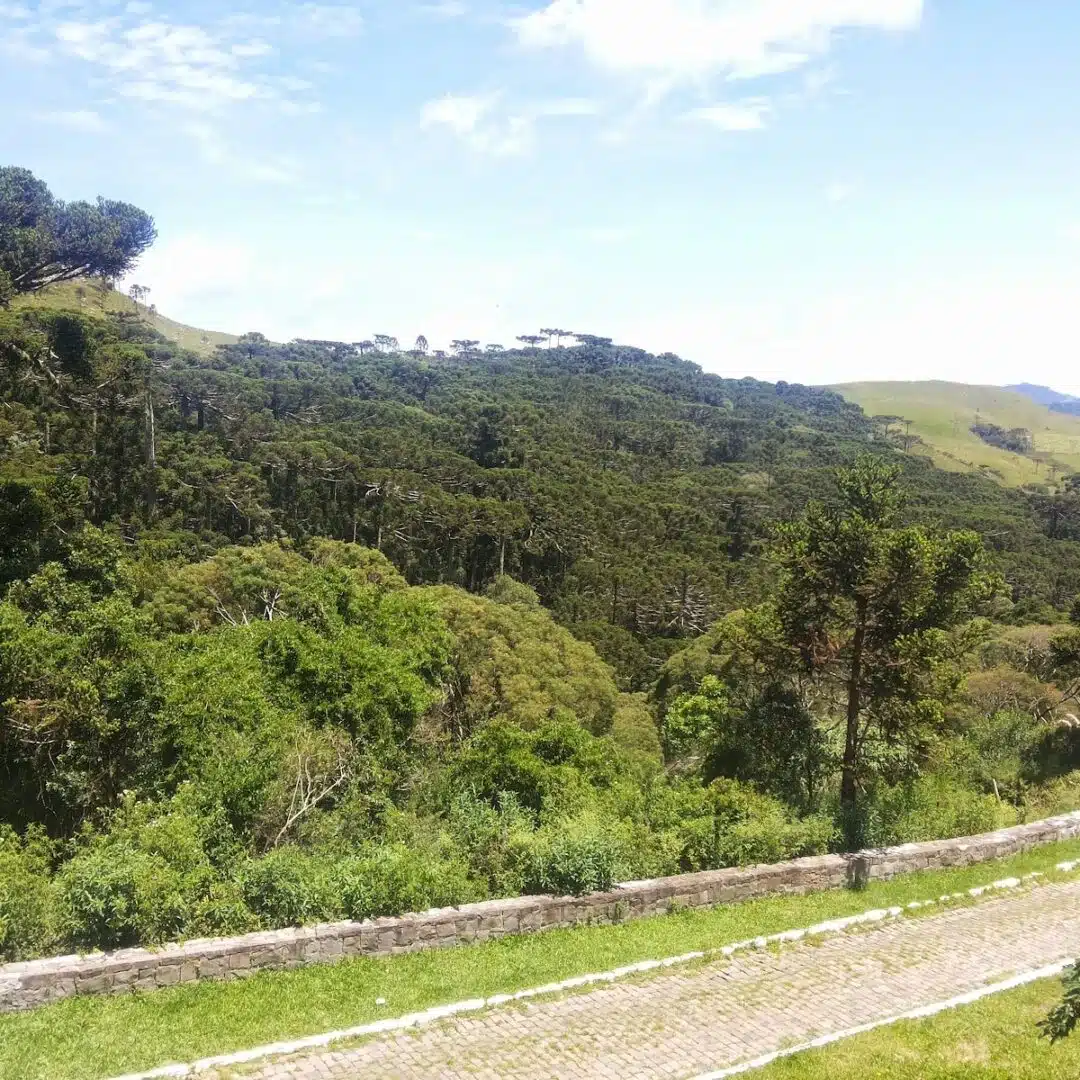 Foto real de Mirante do Campestre