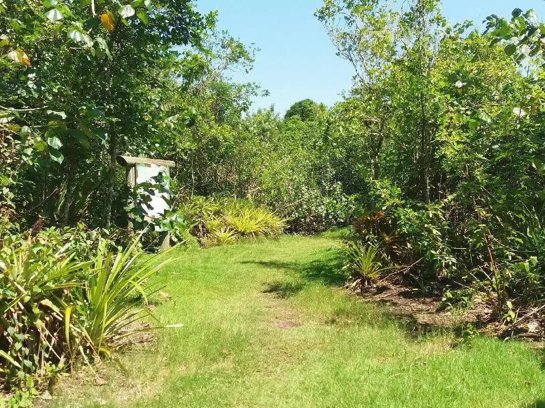 Foto real de Parque das Capivaras