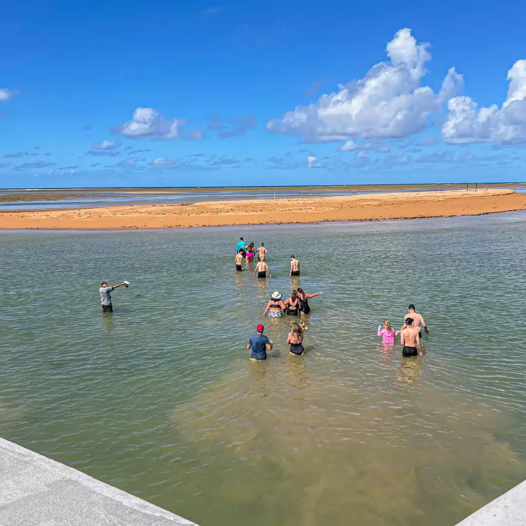Foto real de Parque Marinho da Coroa Alta