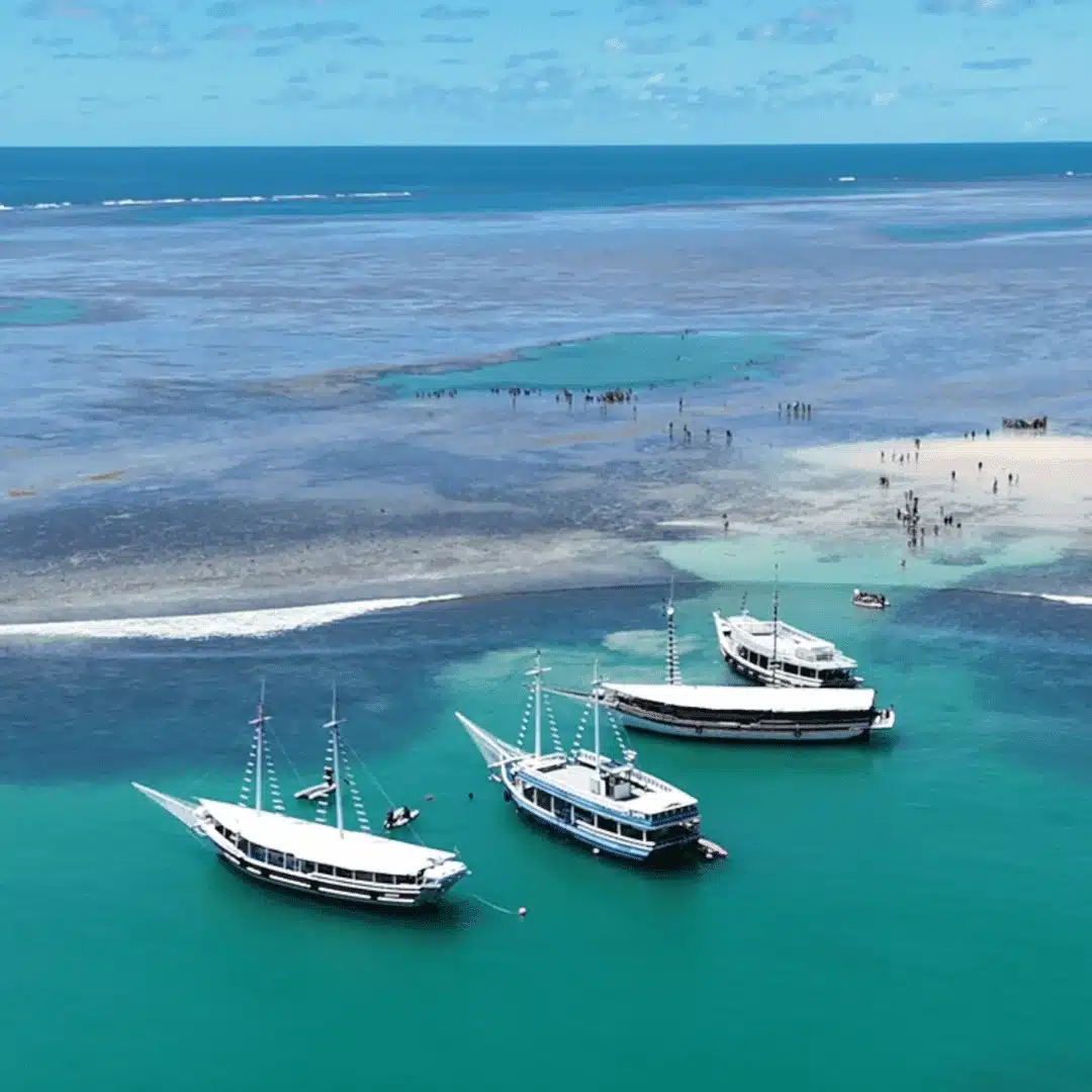 Foto real de Parque Municipal de Porto Seguro