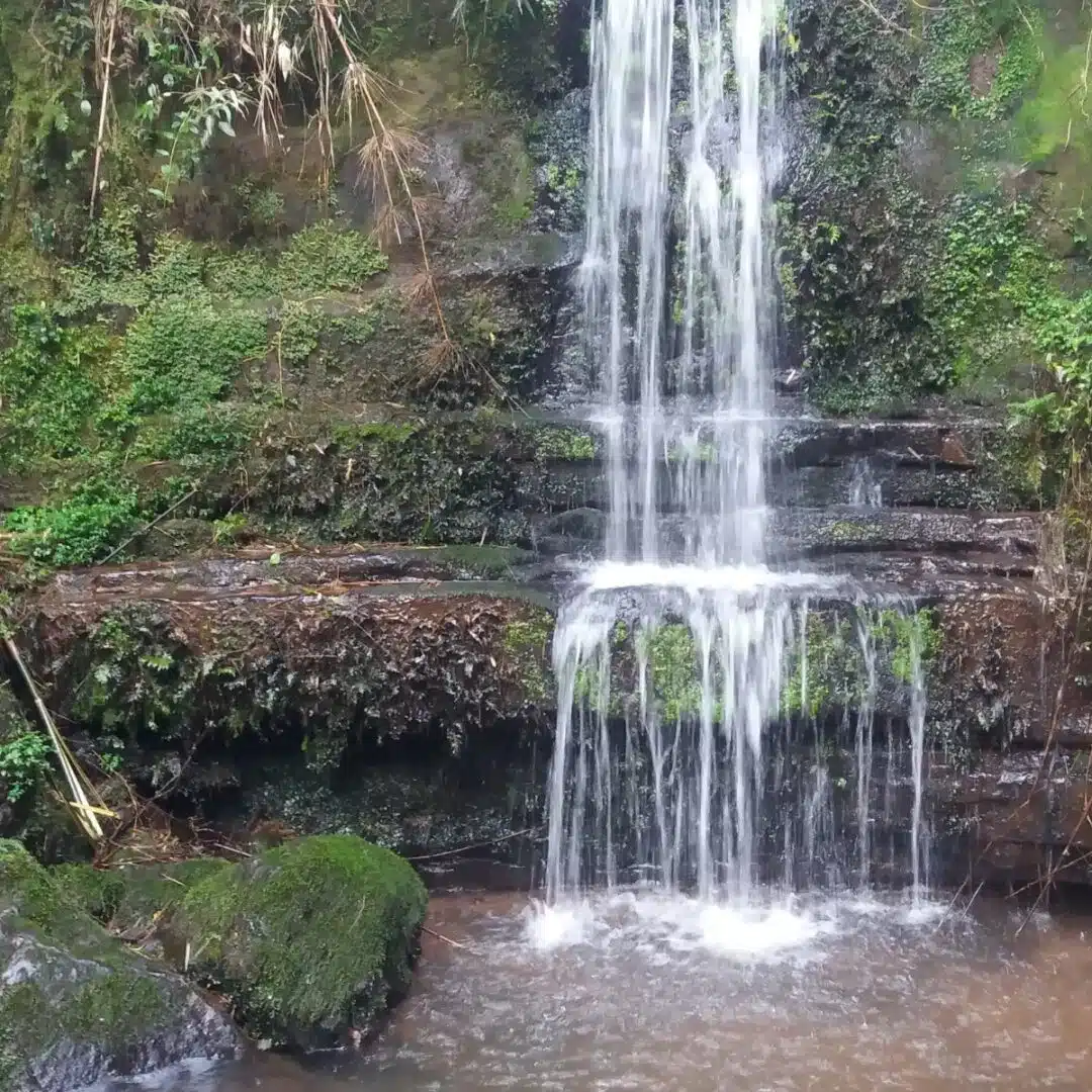 Foto real de Parque Ecológico Municipal