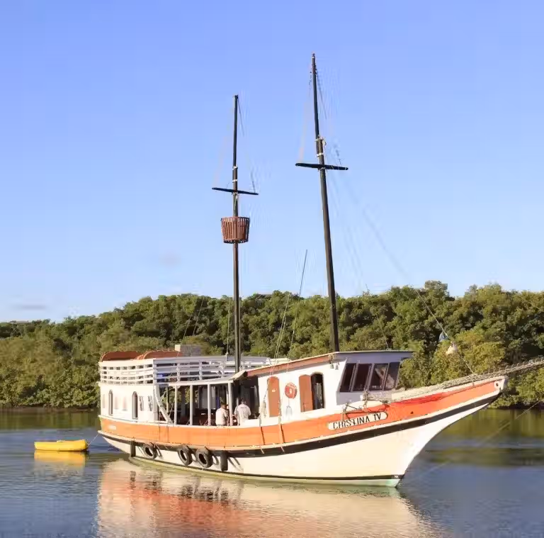 Navegação Cristina Porto Seguro