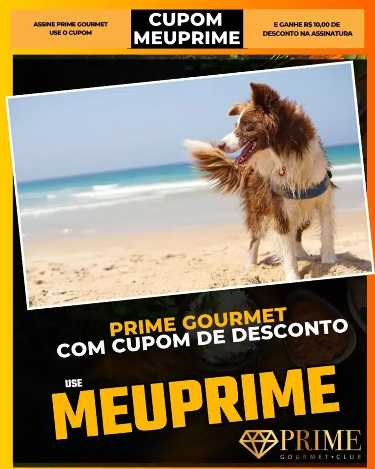 viagem com pet Florianópolis