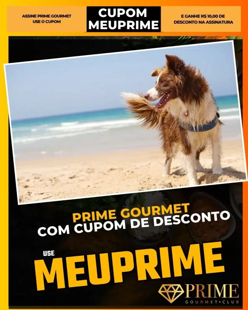 viagem com pet Florianópolis