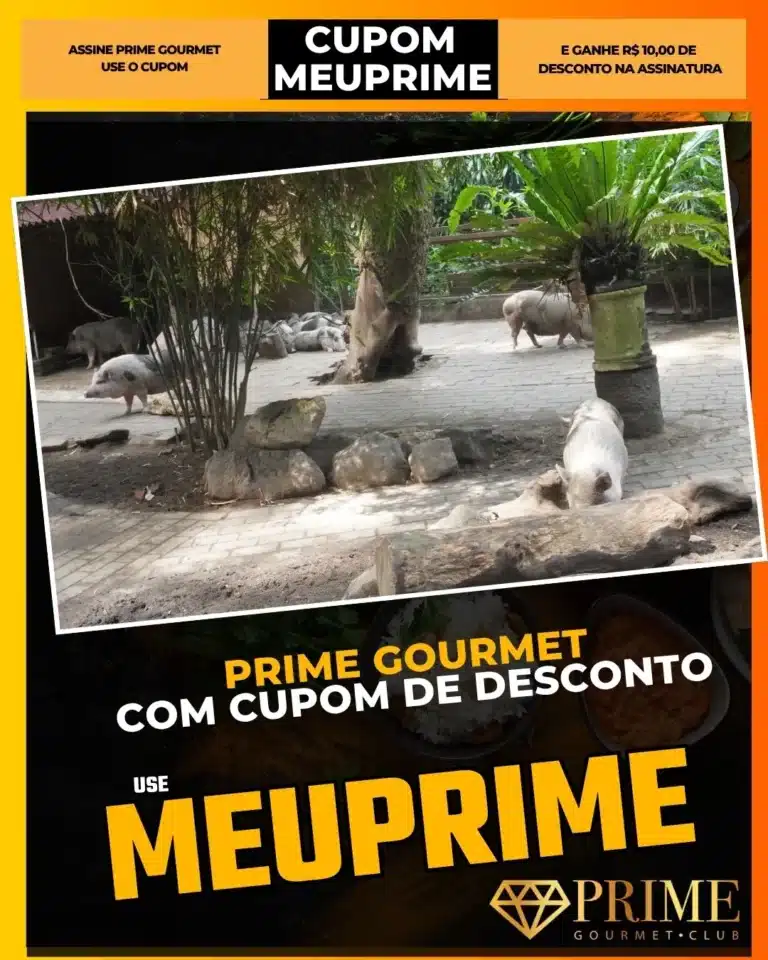 zoo educativo contato natureza