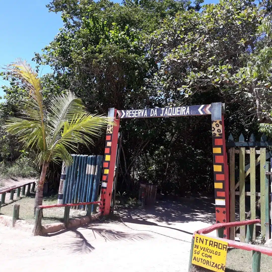 Foto real de Reserva da Jaqueira