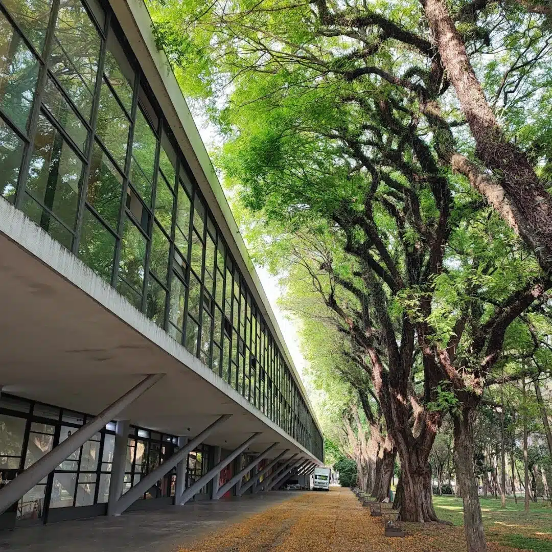 Foto real de Museu Afro Brasil