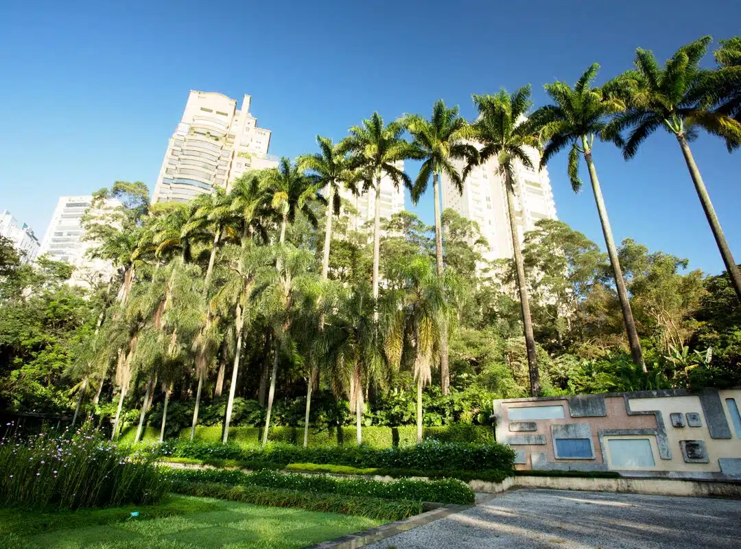 Foto real de Parque Burle Marx
