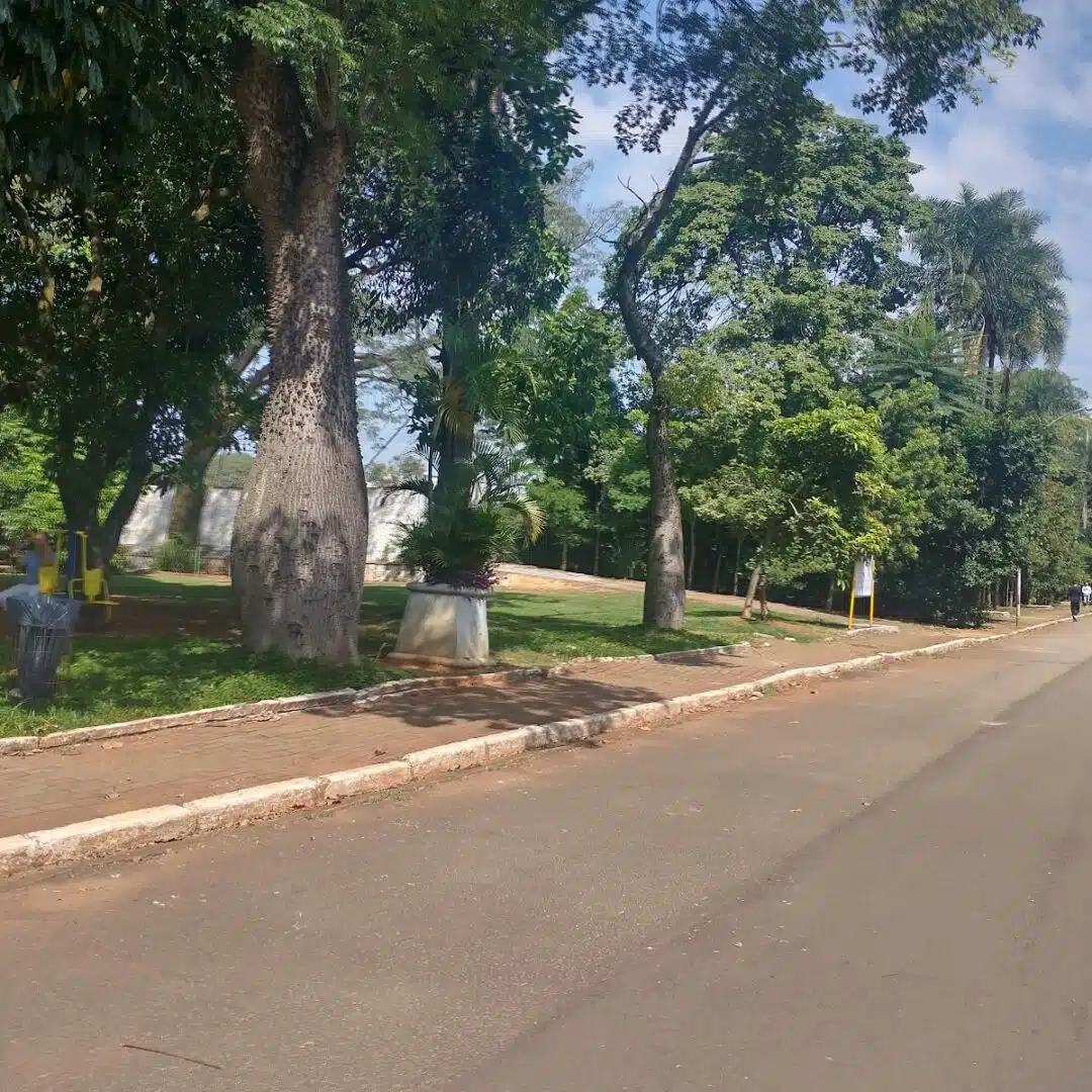 Foto real de Parque da Mooca