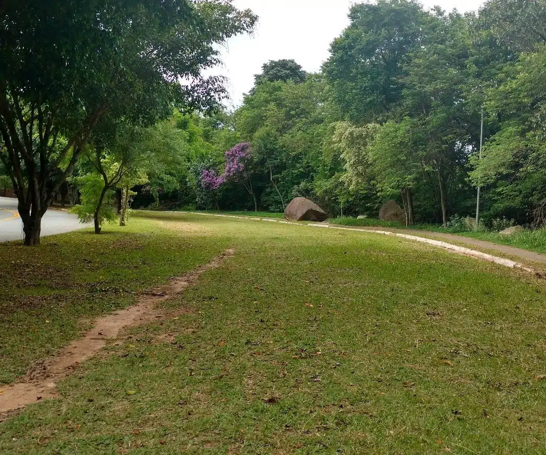 Foto real de Parque dos Príncipes