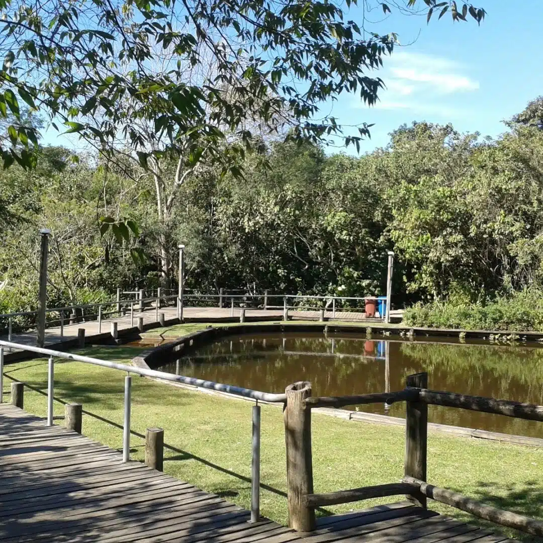Foto real de Parque Ecológico do Guarapiranga