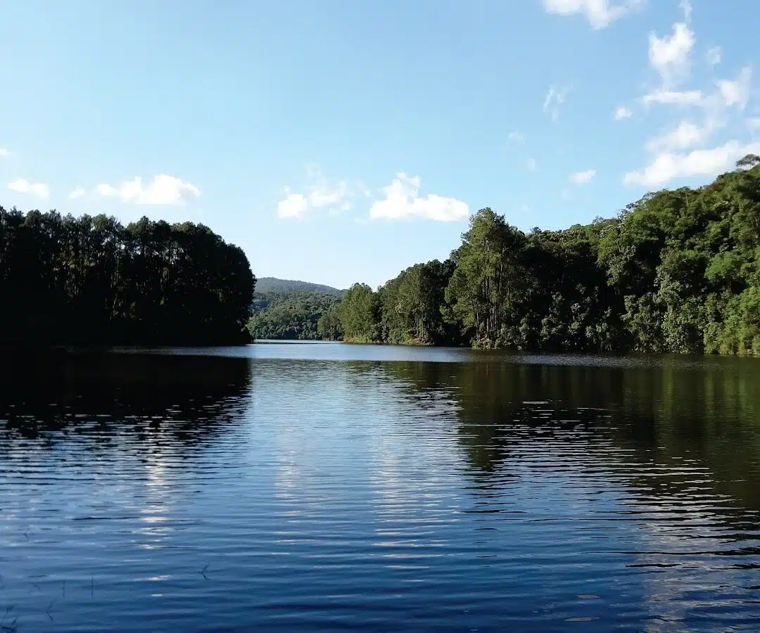 Foto real de Parque Estadual da Cantareira (Núcleo Cabuçu)
