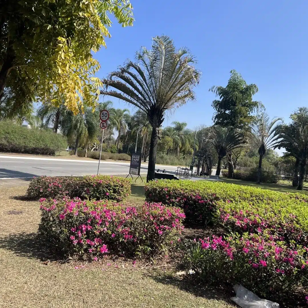Foto real de Praça do Curvado