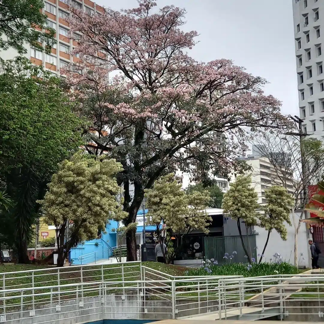 Foto real de Praça Comendador Fonseca