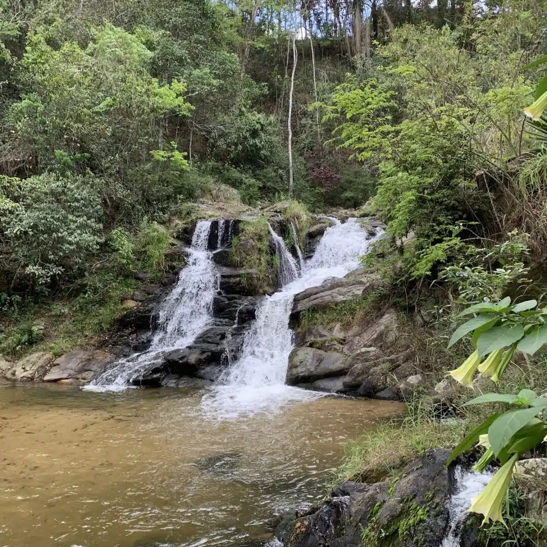 Foto real de Cachoeira do Poço do Campo