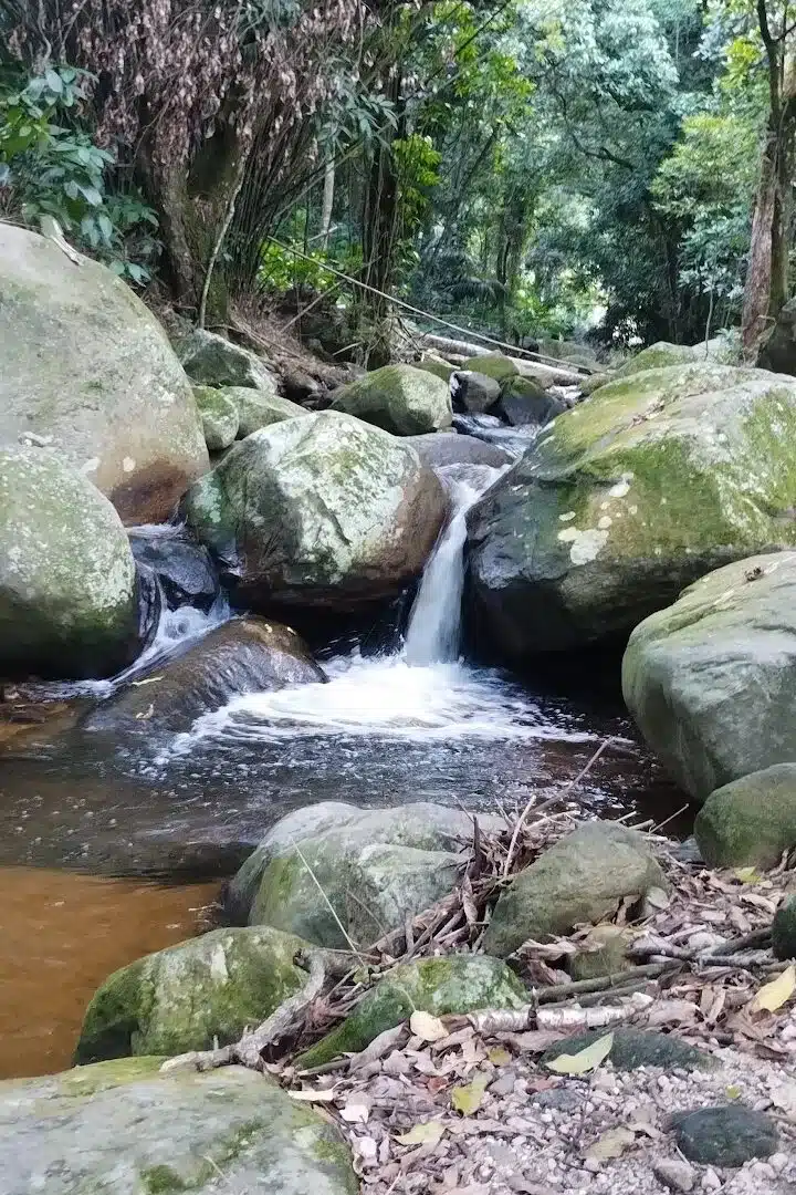 Foto real de Cachoeira do Roncador