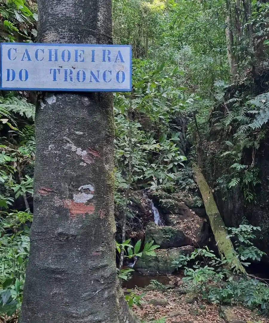Foto real de Cachoeira do Tronco