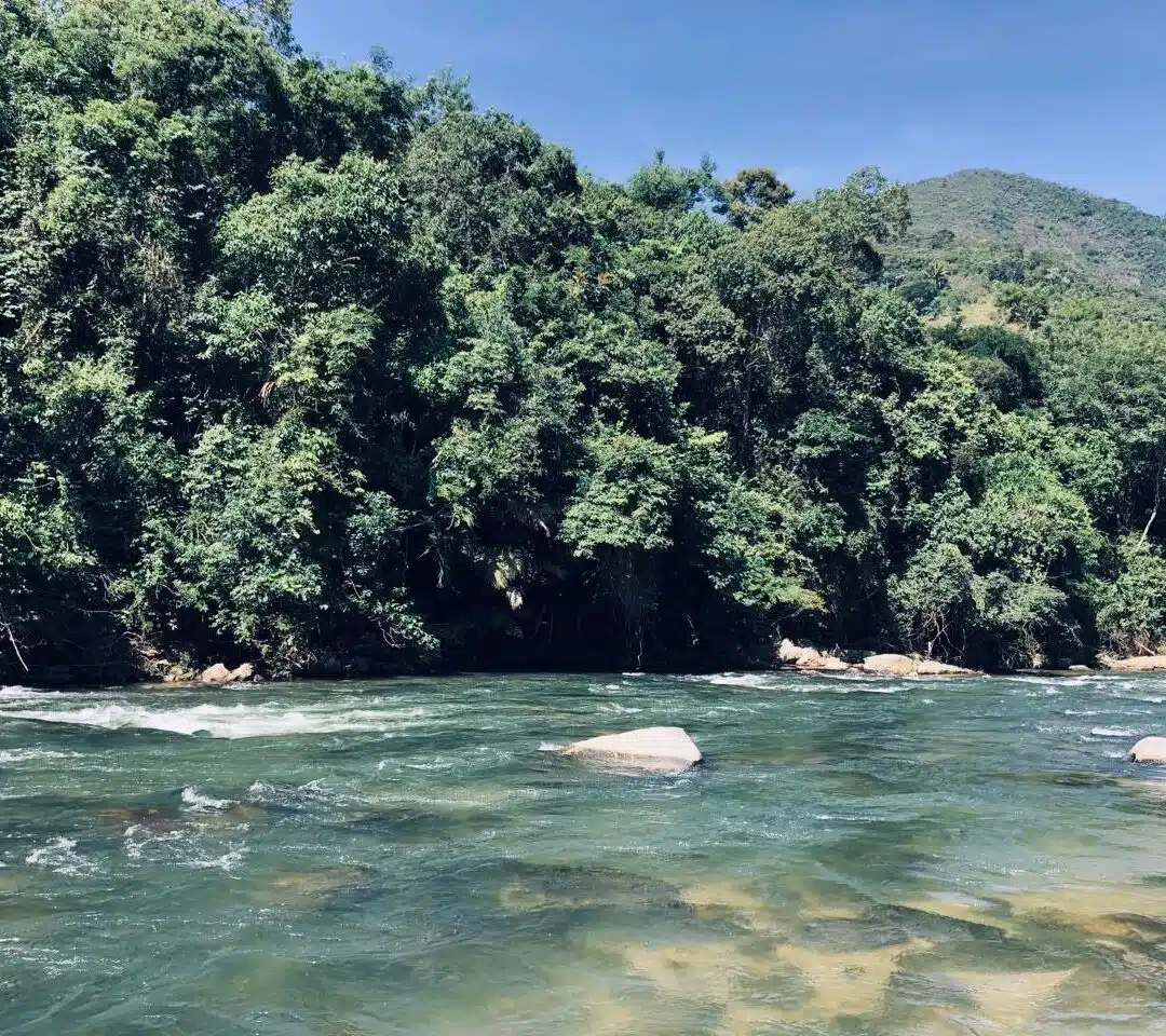 Foto real de Cachoeira do Rio das Flores
