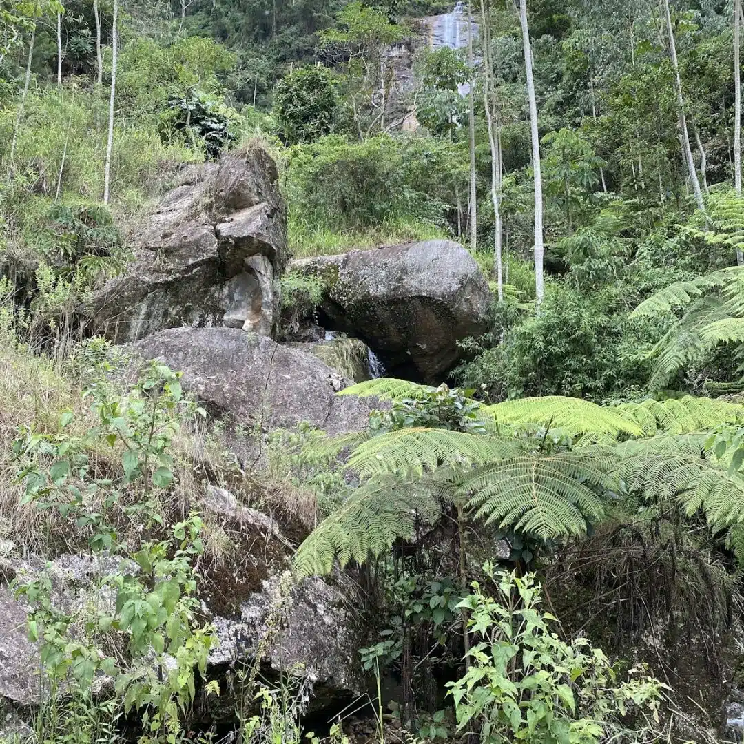 Foto real de Cachoeira do Canoas