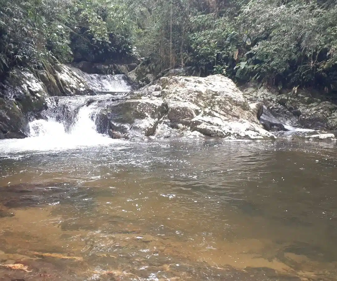 Foto real de Cachoeira do Rio Itajaí-Mirim