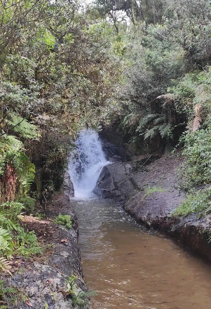 Foto real de Cachoeira do Córrego do Jataí