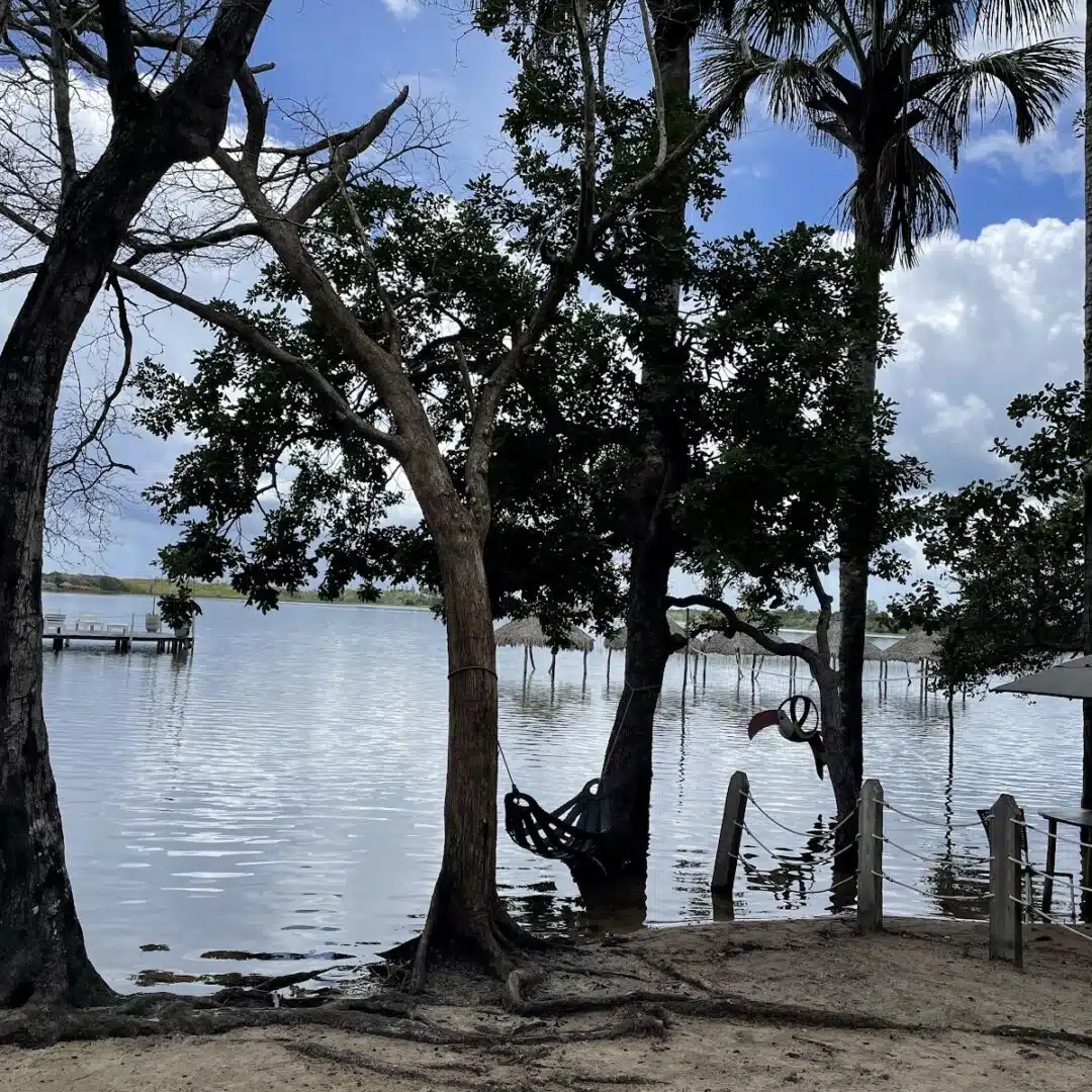 Foto real de Lagoa do Cassorão