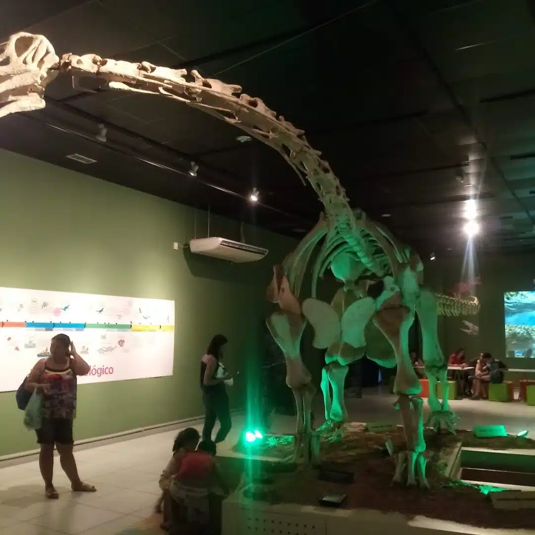 Foto real de Museu de Ciências da Terra