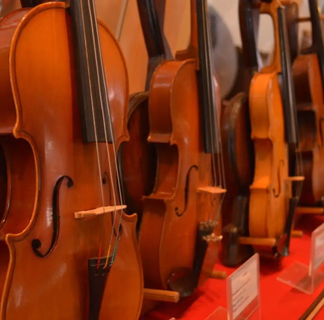 Foto real de Museu da Música de Blumenau