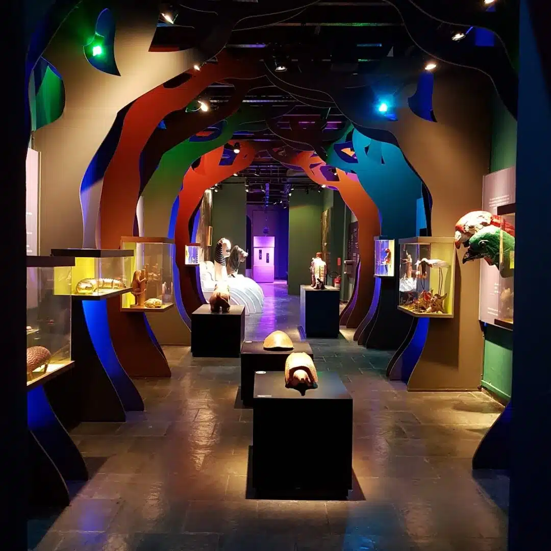 Foto real de Museu do Folclore Edson Cherjovsky