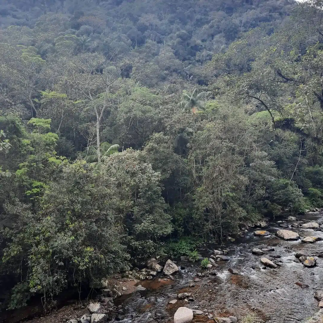 Foto real de Cachoeira do Pura