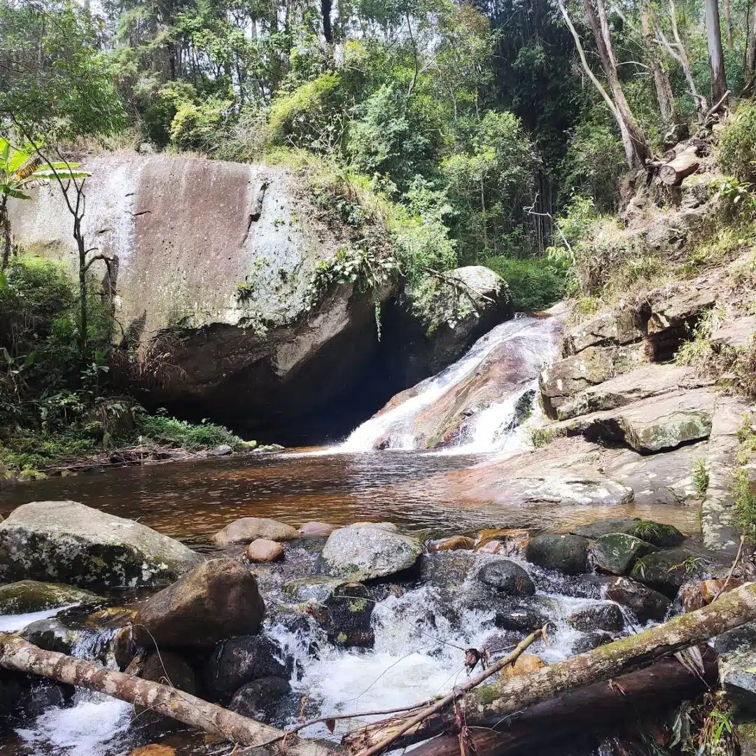 Foto real de Parque Municipal de Nova Friburgo